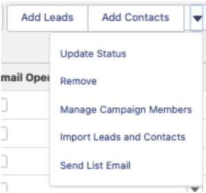 Adding Leads and Contacts to Salesforce Campaign | Forcery NYC